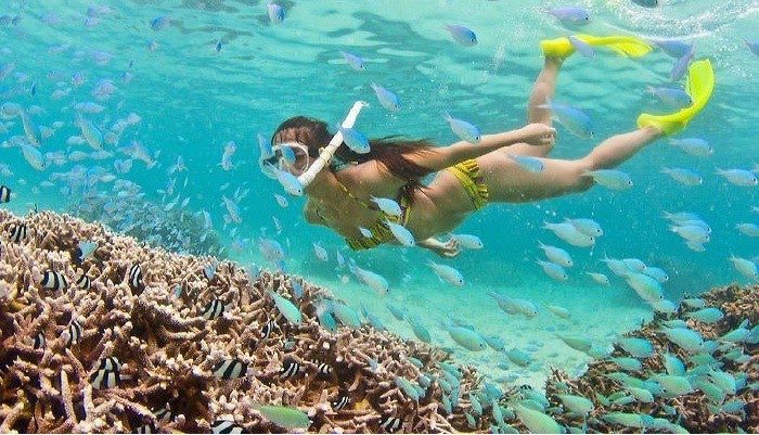 Mã giảm giá tour quy nhơn tại website Quy Nhơn Trip